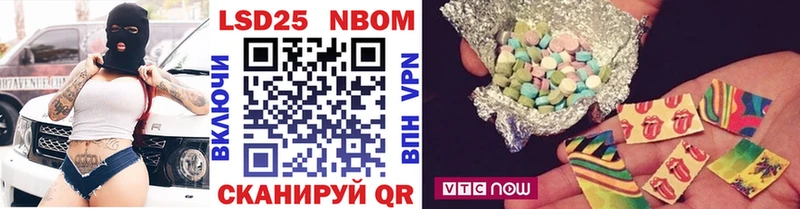где найти   Белая Холуница  Марки N-bome 1,8мг 