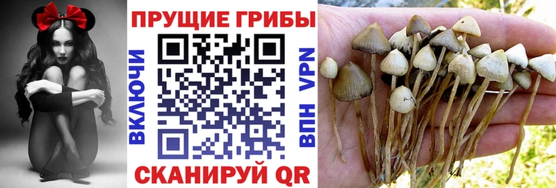 Псилоцибиновые грибы MAGIC MUSHROOMS  мега ССЫЛКА  Белая Холуница 