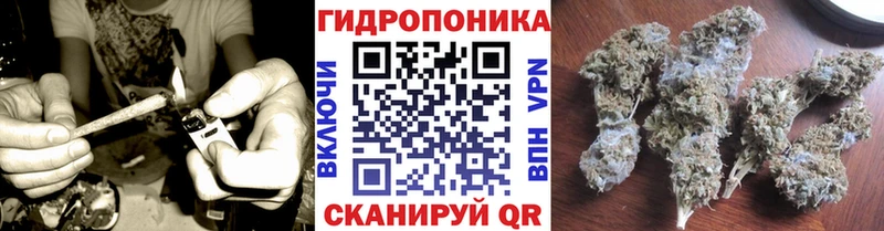 цены   Белая Холуница  Каннабис THC 21% 